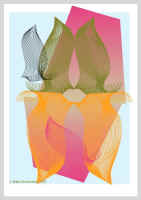 Lepatus.jpg (35477 tavu(a))