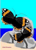 Per10.jpg (41849 tavu(a))