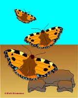 Per12.jpg (36473 tavu(a))