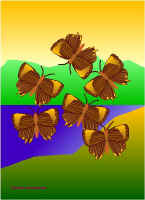 Per13.jpg (39028 tavu(a))