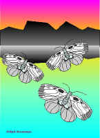 Per15.jpg (38637 tavu(a))