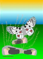 Per16.jpg (40929 tavu(a))