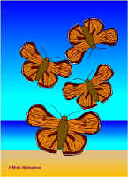 Per17.jpg (48633 tavu(a))