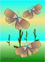 Per19.jpg (41159 tavu(a))