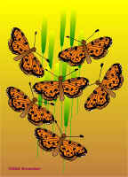 Per1.jpg (51294 tavu(a))