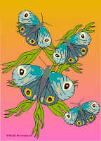 Per3.jpg (53243 tavu(a))