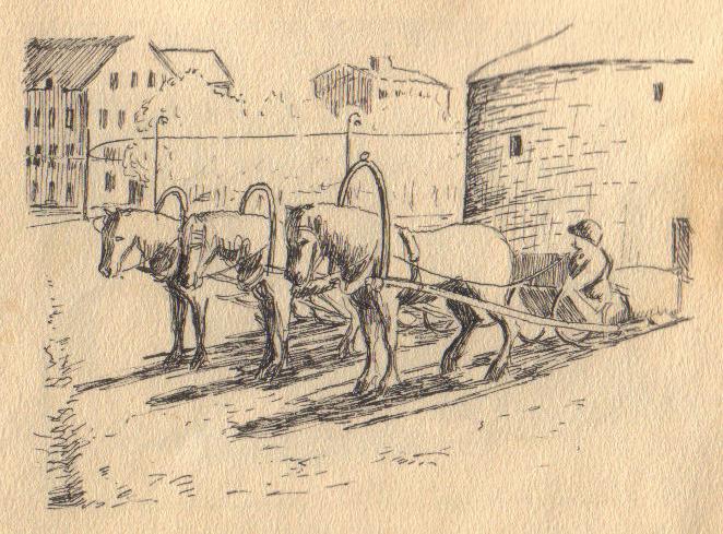 mari1914-30